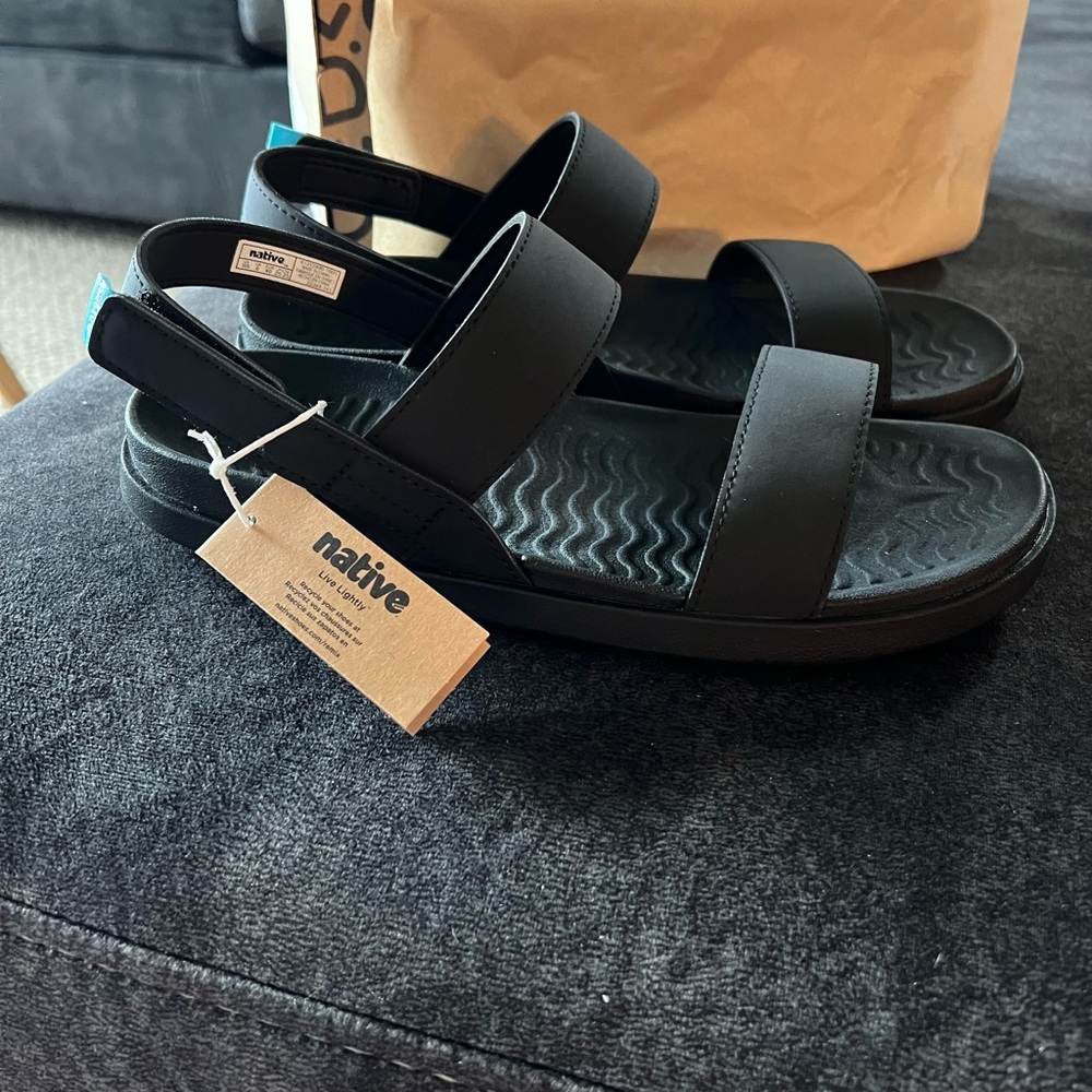 Ellis Sugarlite - Native Shoes (Jiffy Black)